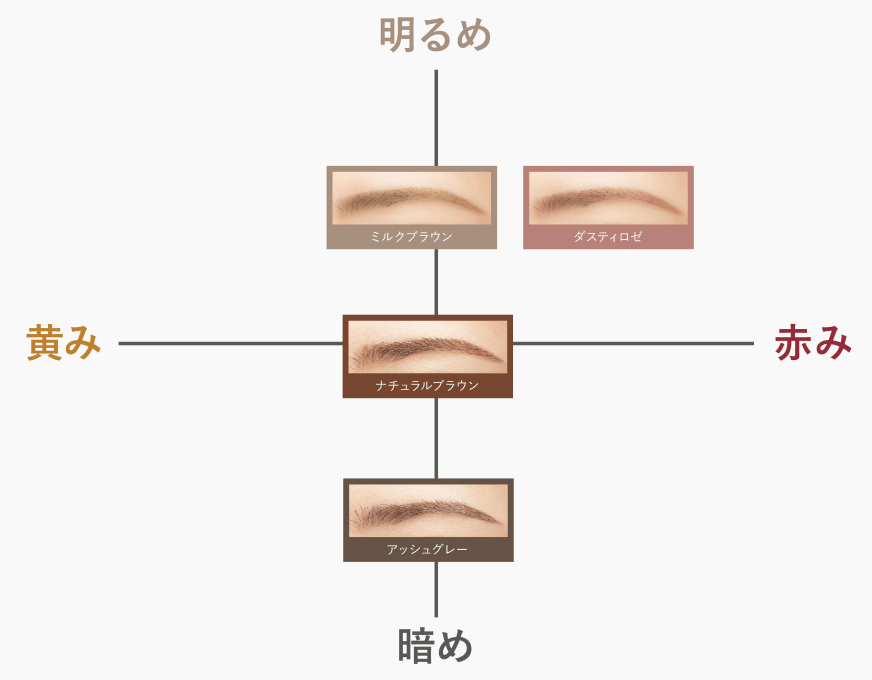 カラーのイメージ画像