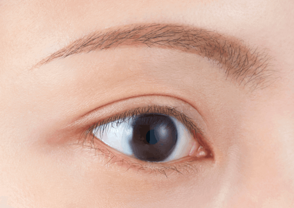 イメージ画像 眉頭から眉尻まで、これ1本で描けるから、眉メイクが時短に仕上がる。忙しい朝にもピッタリ！